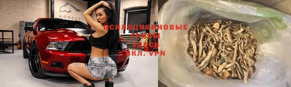 ГАЛЛЮЦИНОГЕННЫЕ ГРИБЫ Белоозёрский