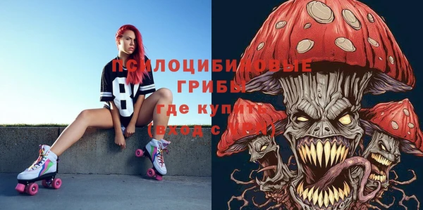 твердый Белокуриха