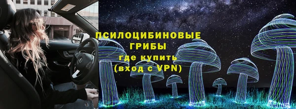 твердый Белокуриха