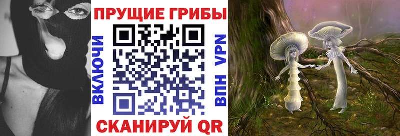 Галлюциногенные грибы Cubensis  Назарово 